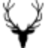 Allen Solly logo